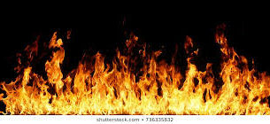 Rainbow Wisdom Newsletter Dec 2019