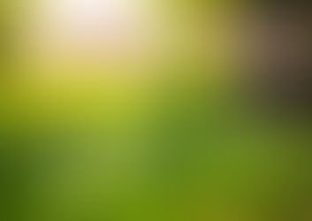 Rainbow Wisdom Newsletter September 2019