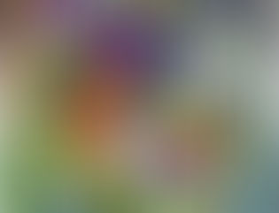 Rainbow Wisdom Newsletter August 2019