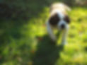 DSCF1106.JPG