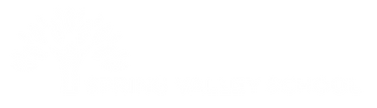 SVS_singleline_wht.png