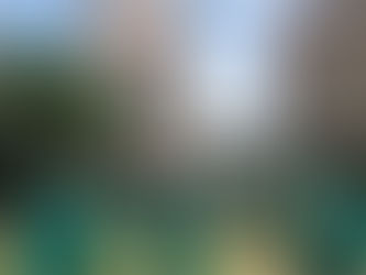 Class of 2022 Spotlight