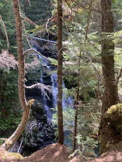 Mt Rainier NP (39)