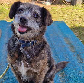 PHOTO-2025-08-29-19-49-58 4.jpg