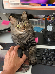 LilRooComputer_A2e.jpg