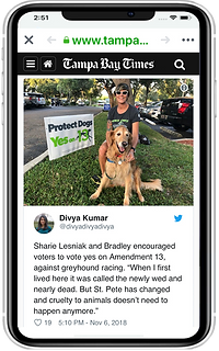 SharieBrad-Phone.png