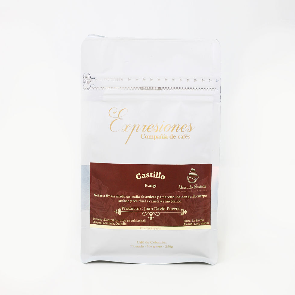 Café-Mercado-Barista-Fungi