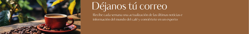 banner-abajo.jpg