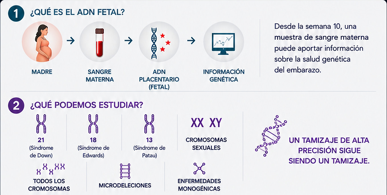 01 - iniciol_MASTER_3X.jpg