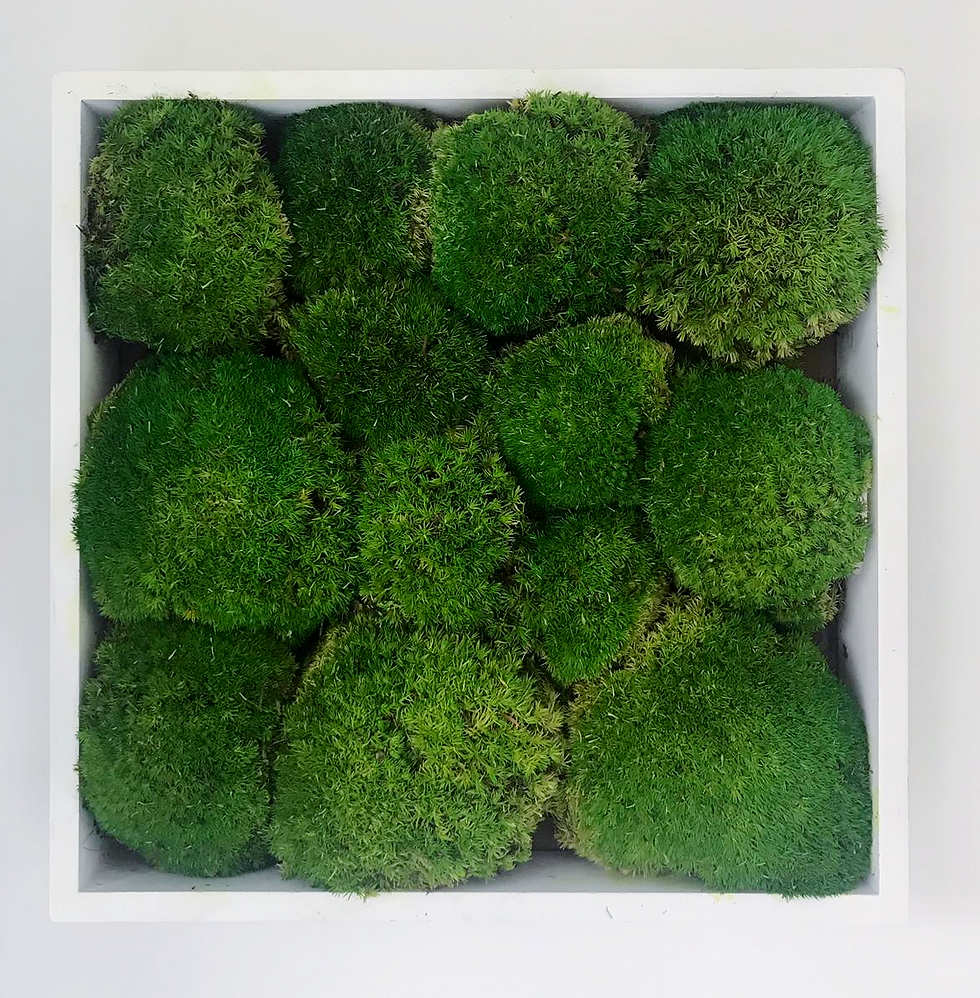 Biophilic element, care-free moss