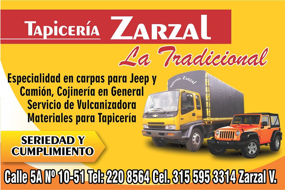 TAPICERIA SARZAL.png