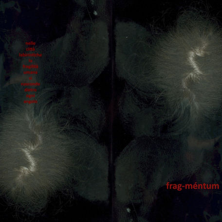 Cover of Frag-méntum, the first publication by La Pecora, designed by Loredana Denicola and graphically curated by Francesca Sand.