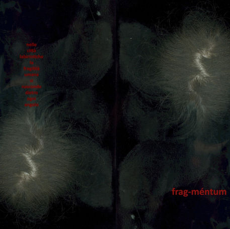 Copertina di Frag-méntum, la prima pubblicazione di La Pecora, progettata da Loredana Denicola e curata graficamente da Francesca Sand.