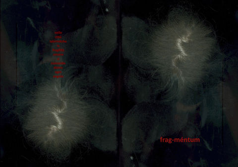 Cover of Frag-méntum, the first publication by La Pecora, designed by Loredana Denicola and graphically curated by Francesca Sand.