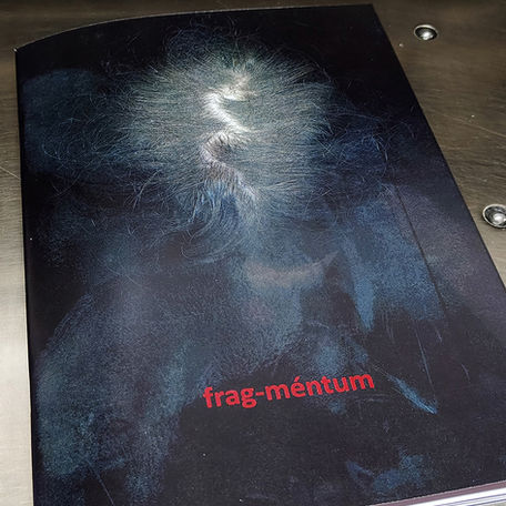 Copertina di “Frag-méntum” – pubblicazione di fotografia fine art di La Pecora Edizioni. L’immagine mostra una forma di luce astratta e organica che emerge da uno sfondo scuro, con il titolo rosso “frag-méntum” posizionato in basso. Il visual richiama i temi della fragilità, identità e trasformazione.