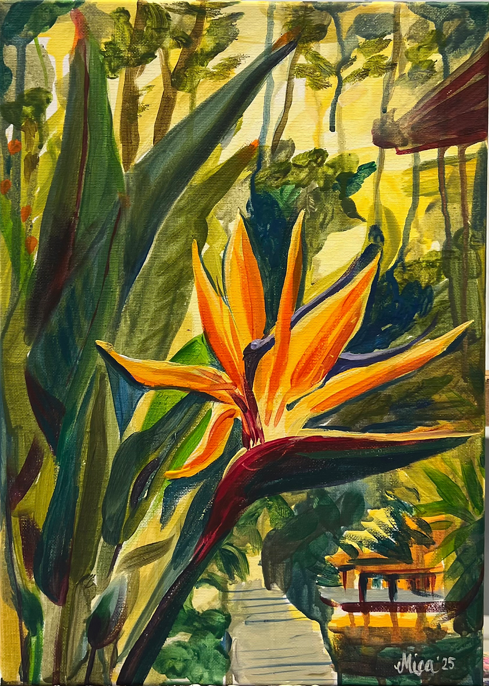Bird of Paradise Flower