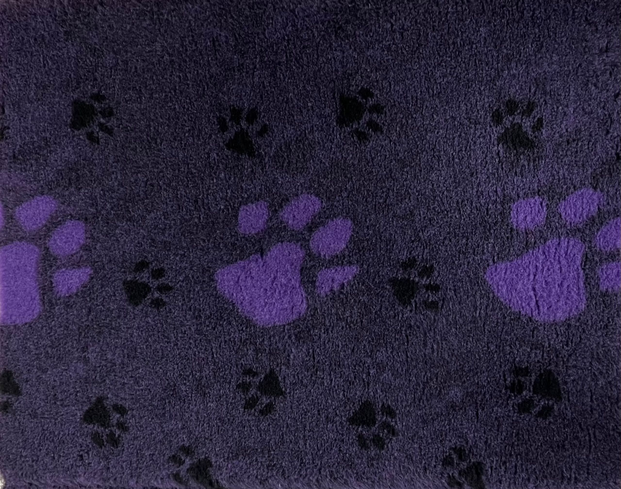 Greenback - Purple and Black Big Paw