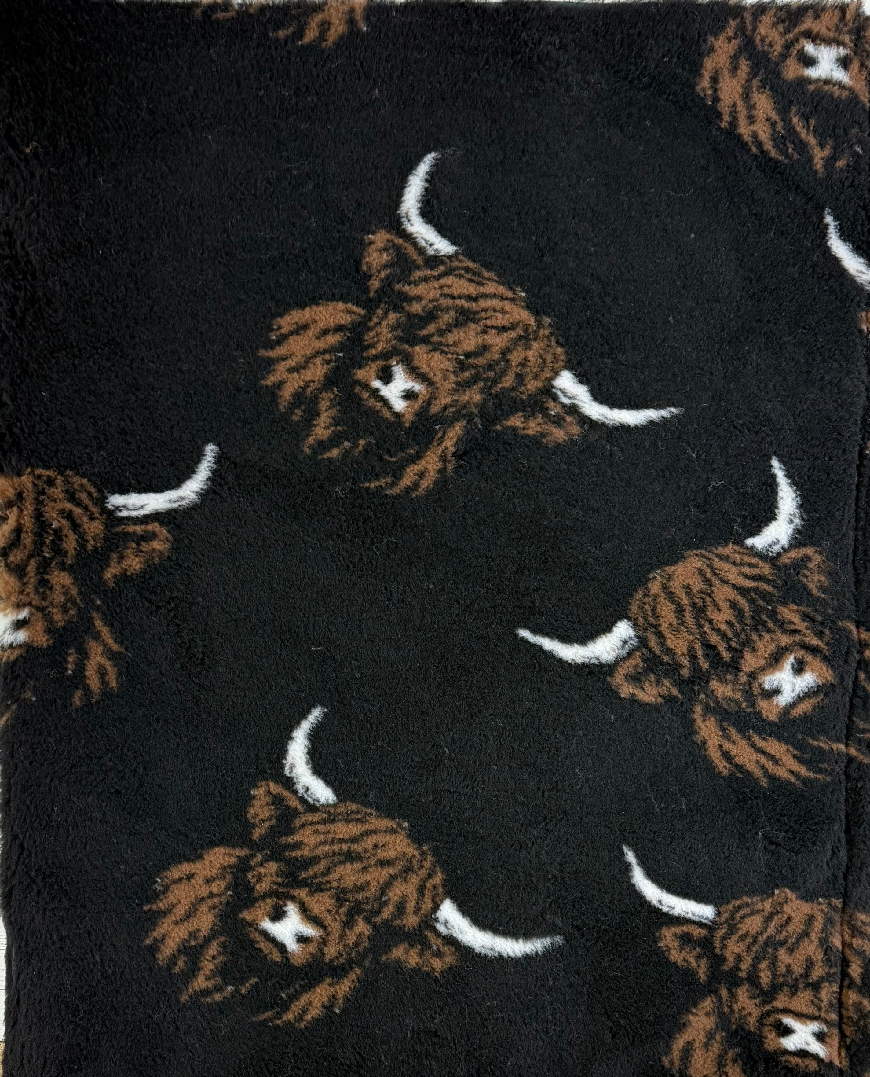 Greenback - Brown Highland Cow Head