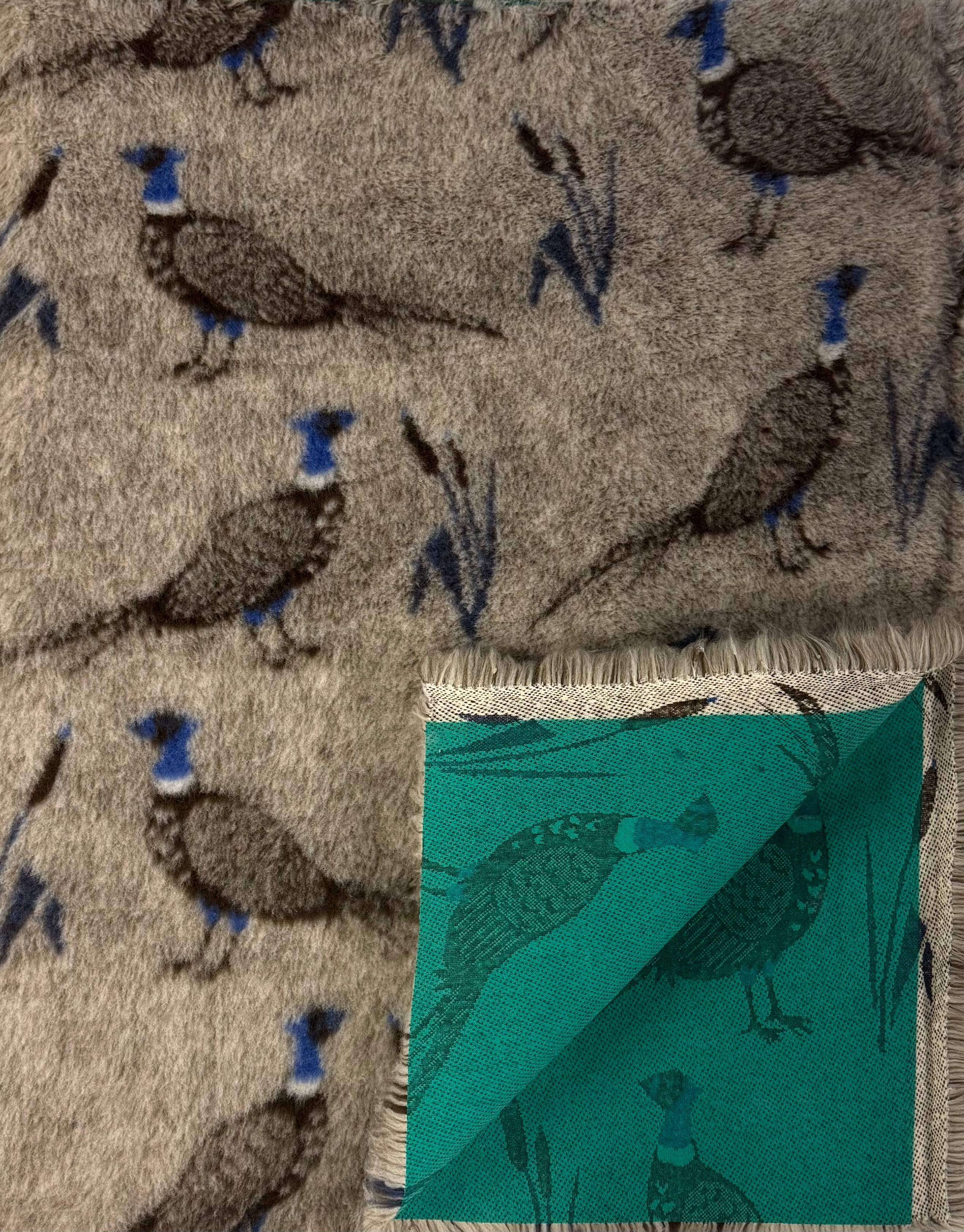 Greenback - Blue Pheasants