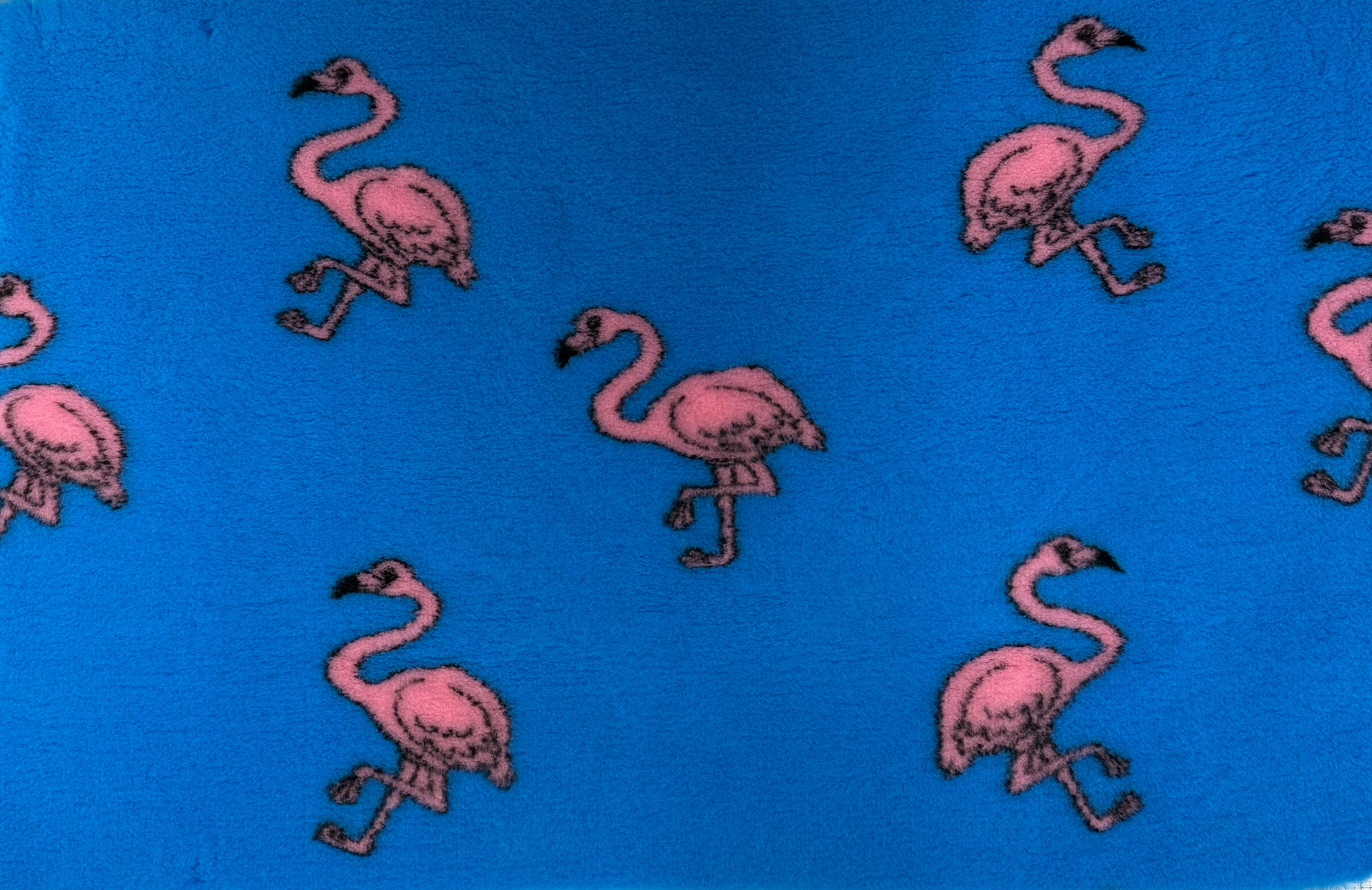 3mt x 75cm Clearance Roll - Rubberback Teal Flamingo