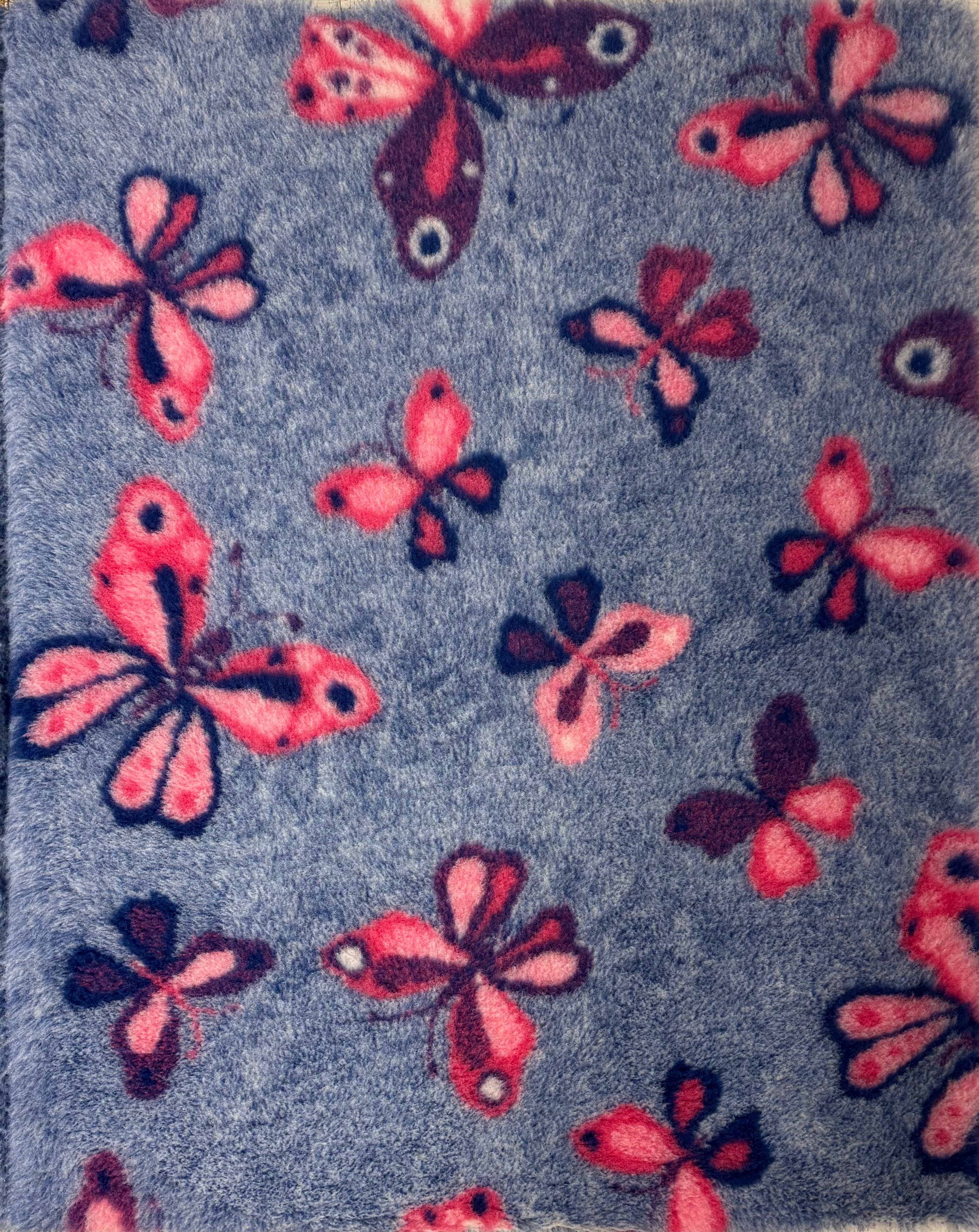 Butterflies - Blue
