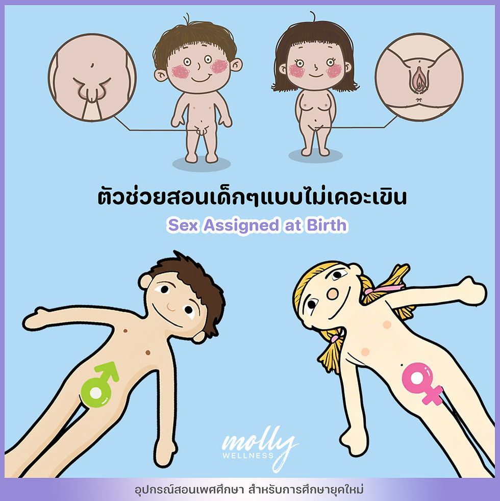 Hình thu nhỏ: ตุ๊กตาน้องซาร่า