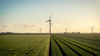 Wind turbines generating clean energy over farmland at sunrise