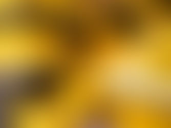 Global Postal Disruptions: Navigating New U.S. Customs Rules in 2025