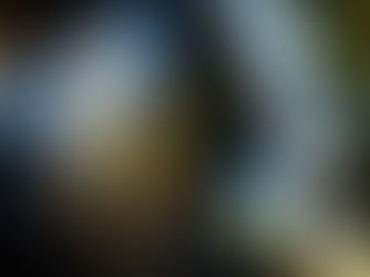 UPS To Cut 20,000 Jobs Due to Declining Amazon Shipments and Tariffs