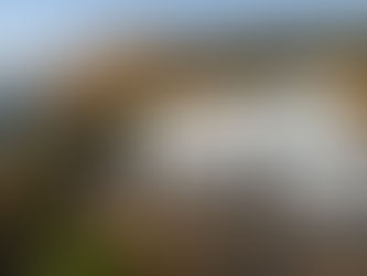 Peninsula Truck Lines Introduces PNW Compliance Surcharge: What Regional Shippers Need to Know