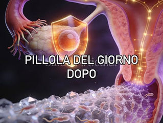 Come funziona davvero la pillola del giorno dopo?