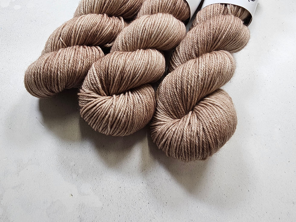 Miniaturbild: SW Merino Nylon, DK weight, 100 g, SHIITAKE