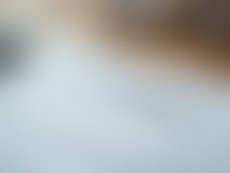 Understanding Lasting Powers of Attorney and Our Exclusive Offer for Free Wills Month Clients