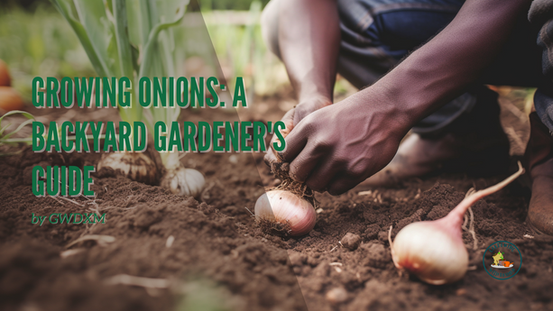 Growing Onions: A Backyard Gardener's Guide