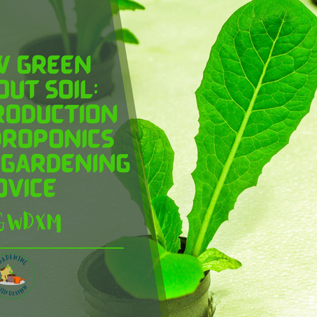 Grow Green Without Soil: An Introduction to Hydroponics for the Gardening Novice