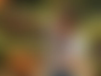 New Player Quick Start Guide