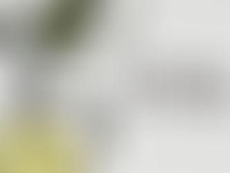 Natural vs Synthetic