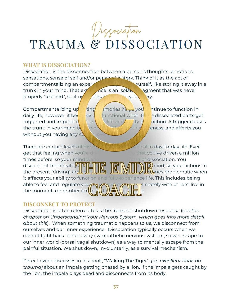 Thumbnail: The EMDR Therapy Progress Journal EBOOK