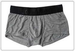 boxer calvin klein 0002 (186).jpg