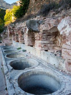 Cartoxia d'Escaladei