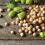 Thumbnail: Raw Chickpeas