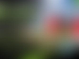 Fussballtraining für Kinder bei der NextGen Academy im Rheintal – Trainer und Kinder beim Training auf dem Fussballplatz