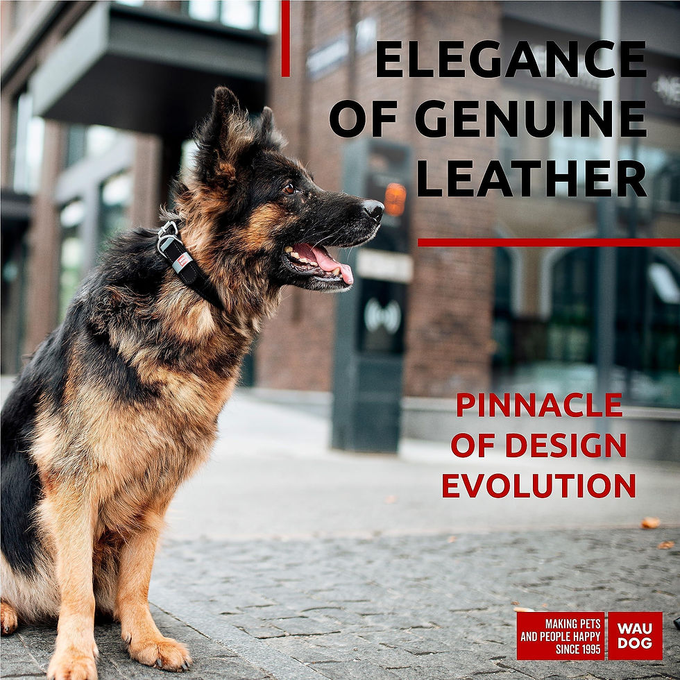 Thumbnail: Black Long Lasting Leather Dog Collar Adjustable for Medium Dogs 1215 inch Neck