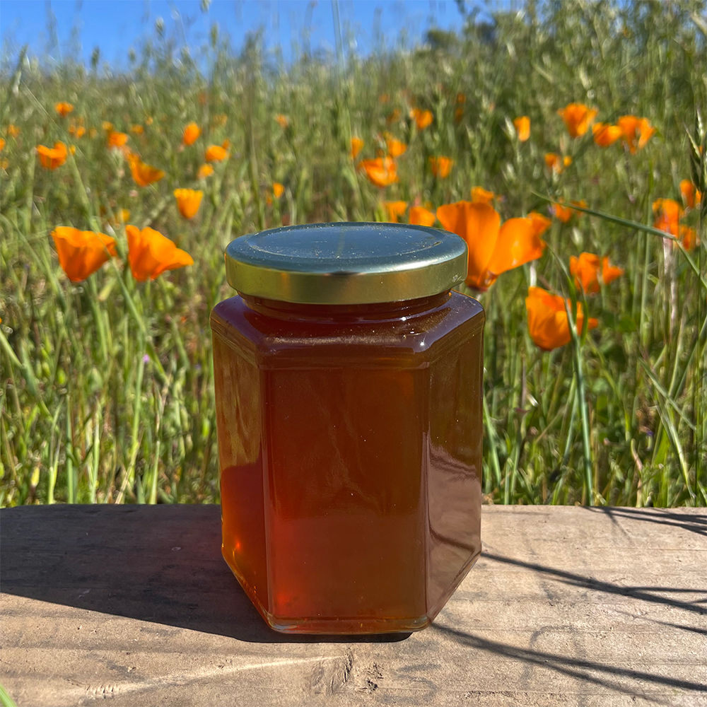 Wildflower Honey 13.5 oz