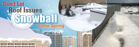 Don’t Let Roof Issues Snowball Come Spring
