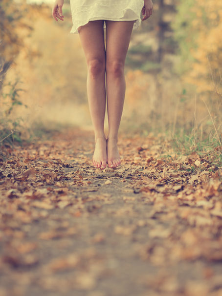 Conseils Ayurvédiques et Yoga pour l’Automne : Équilibrer Vata pour rester en harmonie avec la saison