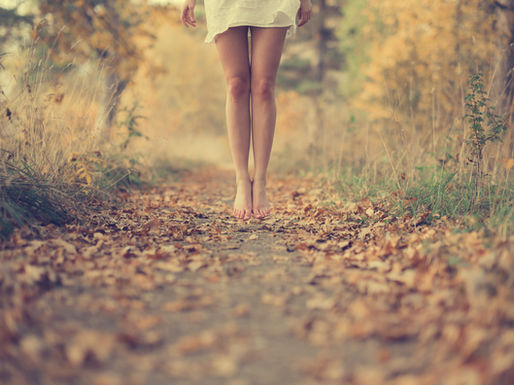Autumn Has Arrived 