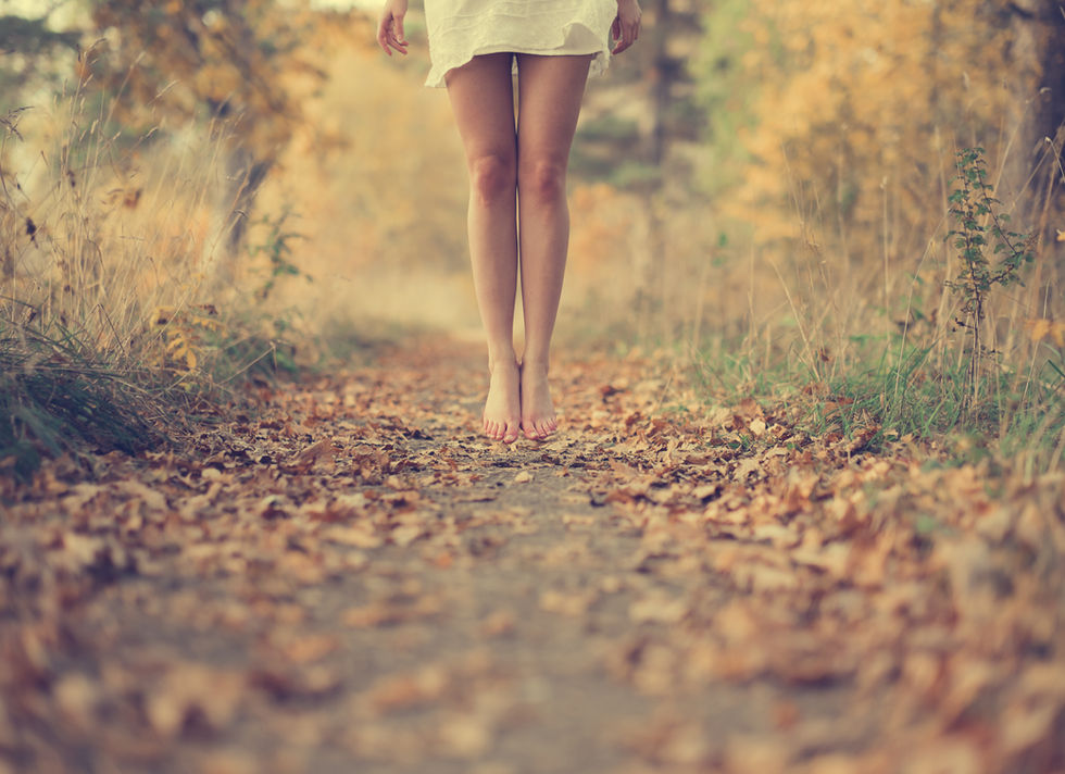 Autumn Legs