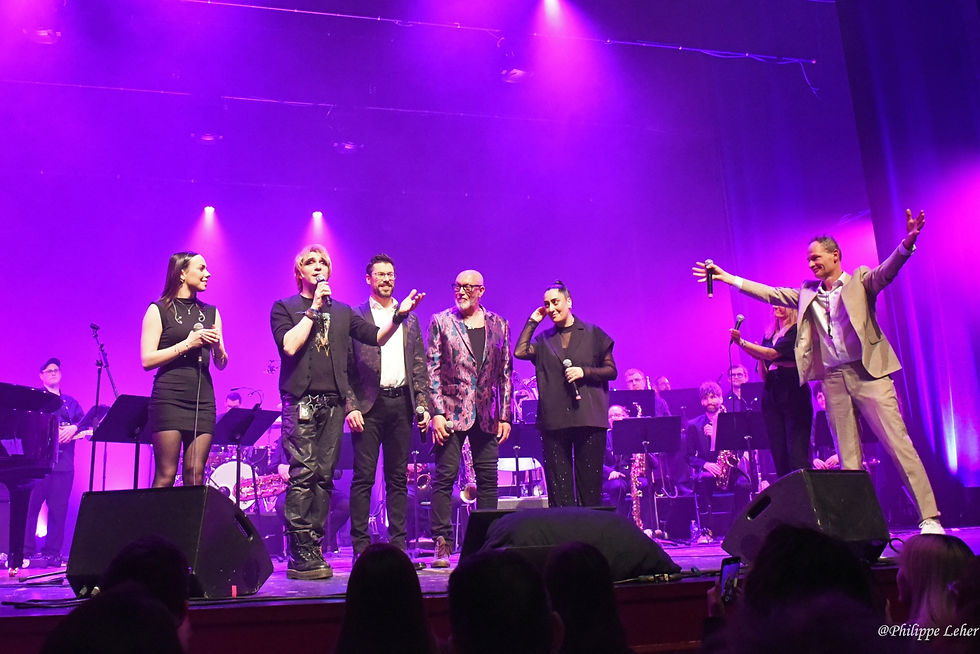 8- La Grande Fa'Brique fait sa Comédie musicale - _Philippe Leher_3759