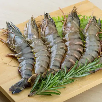Tiger Shrimp